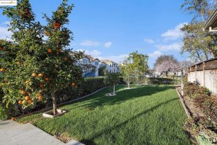 Single Family Residence, 1174 Tropicana Ln ln, Brentwood, CA 94513 - 33
