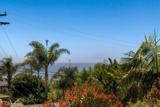 Single Family Residence, 1844 Dora dr, Cardiff By The Sea, CA 92007 - 29