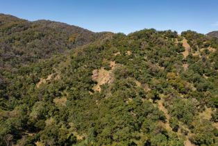 , 33022 Rancho San Carlos rd, Carmel, CA 93923 - 21