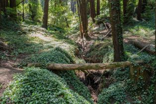 , 446 Old La Honda, Woodside, CA 94062 - 17