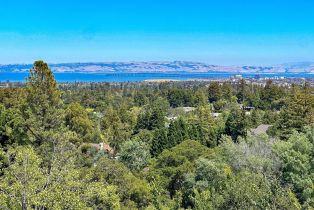 Single Family Residence, 160 New pl, Hillsborough, CA 94010 - 3