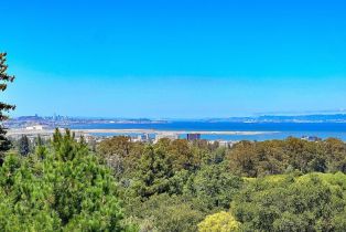 Single Family Residence, 160 New pl, Hillsborough, CA 94010 - 4