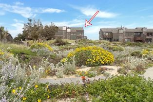 Single Family Residence, 210 Monterey Dunes way, Moss Landing, CA 95039 - 5