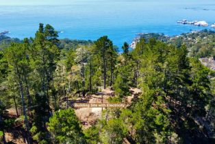 , 219 Peter Pan rd, Carmel, CA 93923 - 7