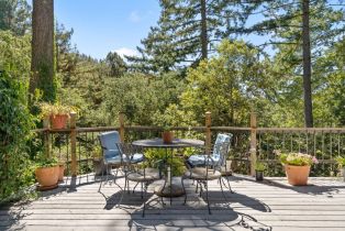 Single Family Residence, 200 Star Hill rd, Woodside, CA 94062 - 23