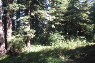 Single Family Residence, 27 Big Tree way, Woodside, CA 94062 - 11