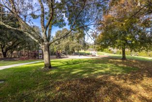 , 0 Canyon, Redwood City, CA 94062 - 9