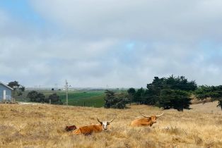 , 800 Dolan rd, Moss Landing, CA 95039 - 23