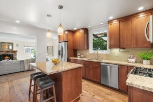 Single Family Residence, 738 Sapphire st, Redwood City, CA 94061 - 8