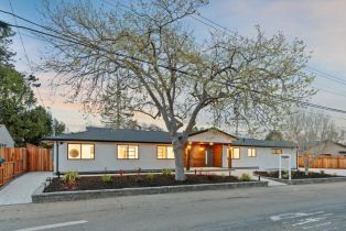 Single Family Residence, 1174 Clark ave, Mountain View, CA 94040 - 2