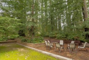 Single Family Residence, 13060 Skyline blvd, Woodside, CA 94062 - 46