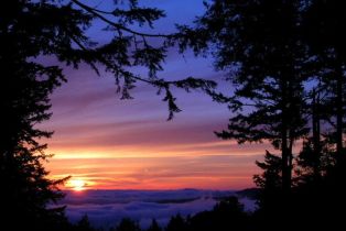 Single Family Residence, 13060 Skyline blvd, Woodside, CA 94062 - 52