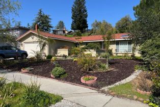Single Family Residence, 1423 CERRO VERDE, San Jose, CA  San Jose, CA 95120