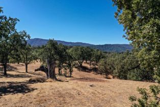 , 21 Long Ridge trl, Carmel, CA 93923 - 13