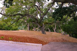 , 9 Red Tail trce, Carmel, CA 93923 - 12