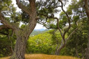 , 9 Red Tail trce, Carmel, CA 93923 - 6