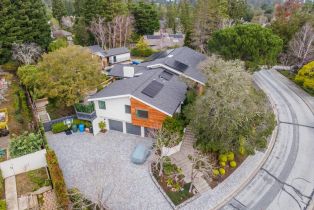 Single Family Residence, 110 Stonepine rd, Hillsborough, CA 94010 - 7