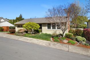 Single Family Residence, 1141 Villa ave, Belmont, CA 94002 - 28