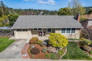 Single Family Residence, 1141 Villa ave, Belmont, CA 94002 - 38
