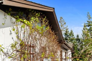 Single Family Residence, 4 Palm Circle rd, Woodside, CA 94062 - 52