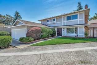 Single Family Residence, 43 College View way, Belmont, CA 94002 - 3