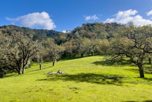 Land, 22 Arroyo Sequoia, Carmel, CA  Carmel, CA 93923