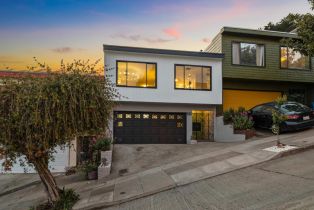 Single Family Residence, 146 Bradford st, District 10 - Southeast, CA 94110 - 2