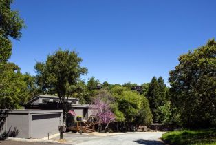 Single Family Residence, 8 Ohlone Street, Portola Valley, CA  Portola Valley, CA 94028