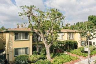 Residential Income, 515  N El Molino AVE, Pasadena, CA  Pasadena, CA 91101