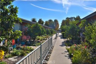 Apartment, 809 Fairview ave, Arcadia , CA 91007 - 15