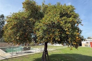 Single Family Residence, 11829 Roseglen st, El Monte, CA 91732 - 17