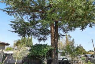 Single Family Residence, 3739 Elma rd, Pasadena, CA 91107 - 56