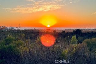 Single Family Residence, 154 Yugen, Irvine, CA 92618 - 24