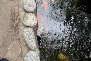 Single Family Residence, 1960 Olive way, Pasadena, CA 91104 - 38