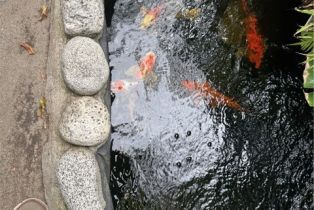 Single Family Residence, 1960 Olive way, Pasadena, CA 91104 - 39