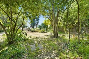 Single Family Residence, 214 Le Roy ave, Arcadia , CA 91007 - 16