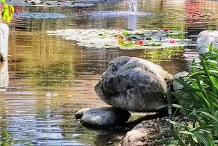 Condominium, 77 Lakepines, Irvine, CA 92620 - 36