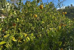 Single Family Residence, 7929 bolton ave, Riverside, CA 92503 - 3