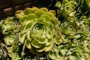 Condominium, 407 Duarte rd, Arcadia , CA 91006 - 38