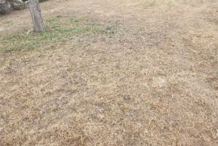 Single Family Residence, 1280 Woodbury rd, Pasadena, CA 91104 - 2