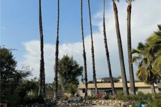 Single Family Residence, 345 Walnut ave, Arcadia , CA 91007 - 16