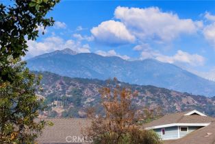 Single Family Residence, 338 Laurel ave, Arcadia , CA 91006 - 31