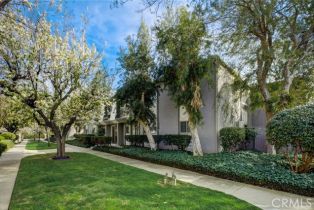 Condominium, 6031 Fountain Park Ln, Apt 17, Woodland Hills, CA  Woodland Hills, CA 91367