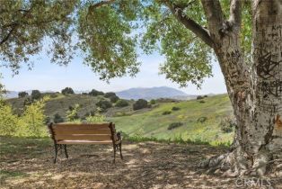 Condominium, 655 Via Colinas, Thousand Oaks, CA 91362 - 2