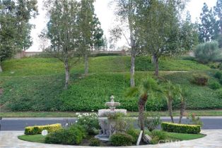 Single Family Residence, 4741 Copa De Oro dr, Anaheim Hills, CA 92807 - 10