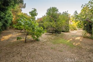 Single Family Residence, 18105 Bastanchury rd, Yorba Linda, CA 92886 - 61
