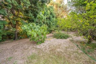 Single Family Residence, 18105 Bastanchury rd, Yorba Linda, CA 92886 - 62