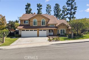 Single Family Residence, 16664 Rocky Creek dr, Riverside, CA 92503 - 4