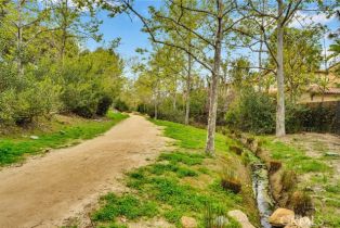 Condominium, 117 White Flower, Irvine, CA 92603 - 32