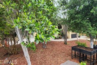 Residential Income, 3112 1st st, Riverside, CA 92507 - 13